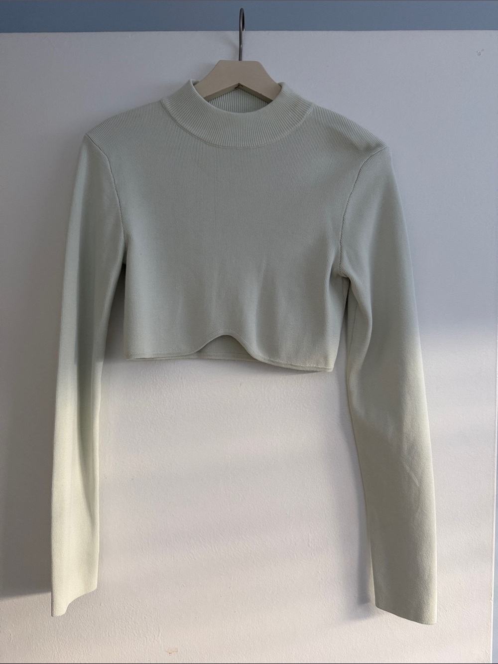 Zara Cropped Mock Neck Long Sleeve Top in Pale Sage Green